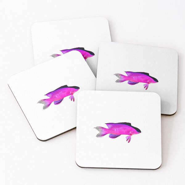Item preview, Black Capped Basslet Reef Aquarium Fish designed and sold by AngryOcean.