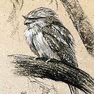 'Tawny Frogmouth' by Lynda Robinson