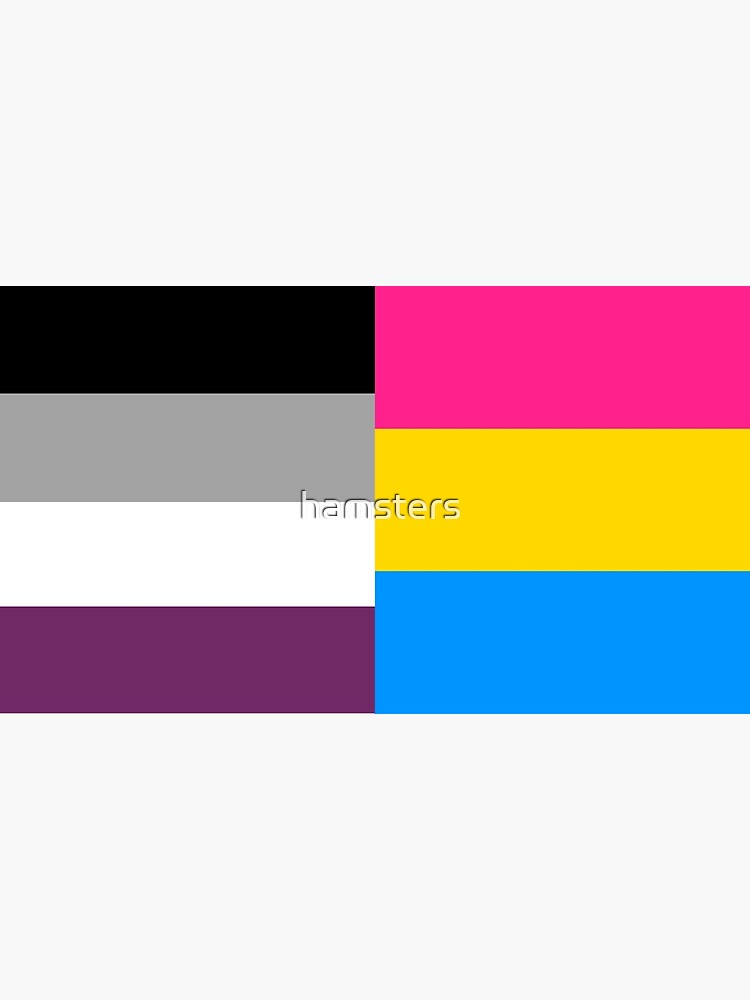 Panromantic Asexual Flag Art Print For Sale By Hamsters Redbubble 