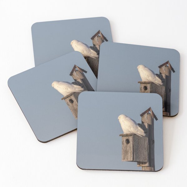 Item preview, Snowy Owl 2019-8 designed and sold by Thomasyoung.