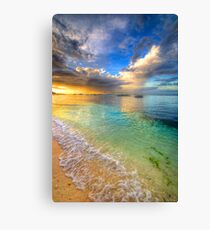 Colour Splash Canvas Print