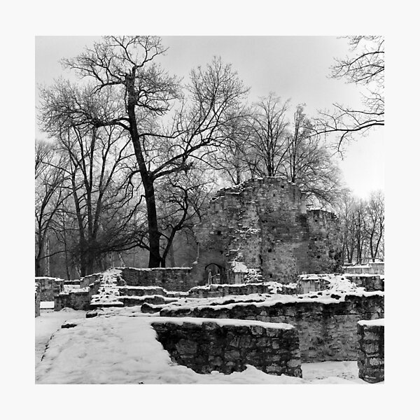 Ruins of the Dominican Convent, Margaret Island, Budapest Photographic Print