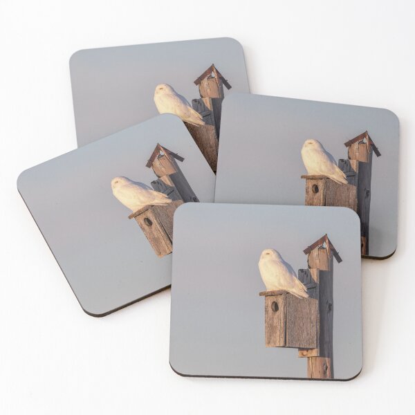 Item preview, Snowy Owl 2019-9 designed and sold by Thomasyoung.