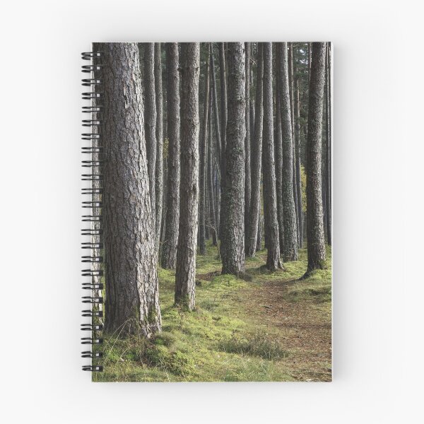 Item preview, Pine trees designed and sold by chanonry.