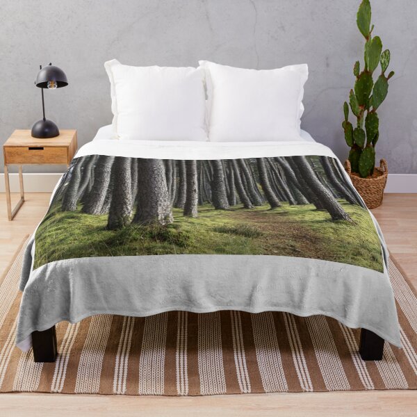 Item preview, Pine trees designed and sold by chanonry.