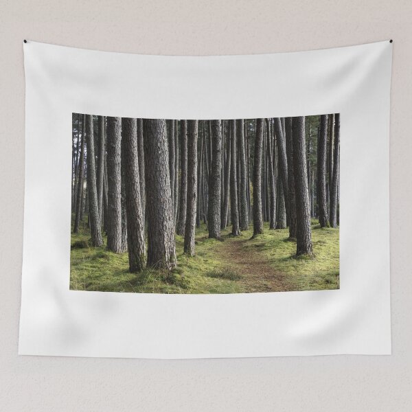 Item preview, Pine trees designed and sold by chanonry.