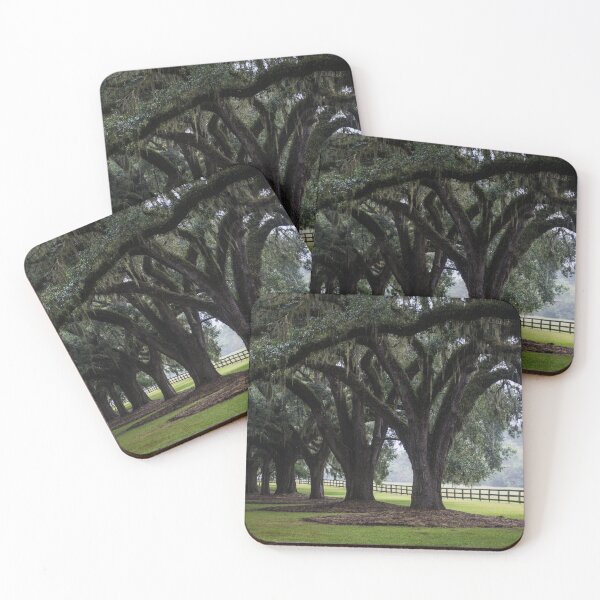 Item preview, Tree Arch Drive designed and sold by Alex Tonetti Photography.