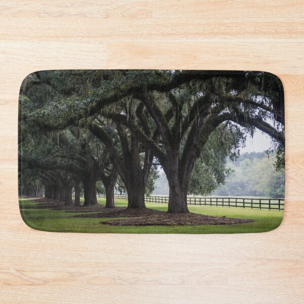 Item preview, Tree Arch Drive designed and sold by Alex Tonetti Photography.