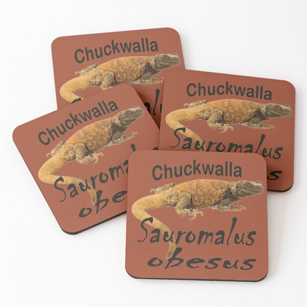 Item preview, Chuckwalla - Sauromalus obesus Lizard designed and sold by 28TEES.
