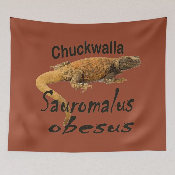 Item preview, Chuckwalla - Sauromalus obesus Lizard designed and sold by 28TEES.