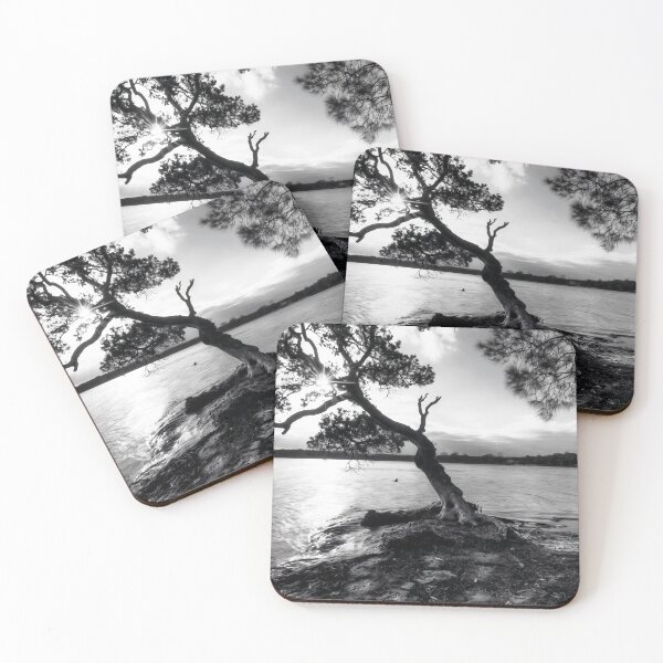 Item preview, The Old Tree designed and sold by Rainphotography.