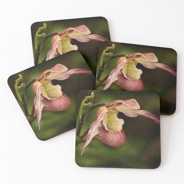 Item preview, Pink lady's slipper orchid designed and sold by Art in Nature.