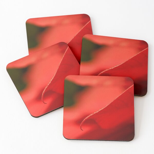 Item preview, Poinsettia dreams designed and sold by Art in Nature.