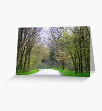 Birders' Paradise Greeting Card
