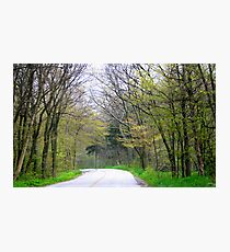 Birders' Paradise Photographic Print