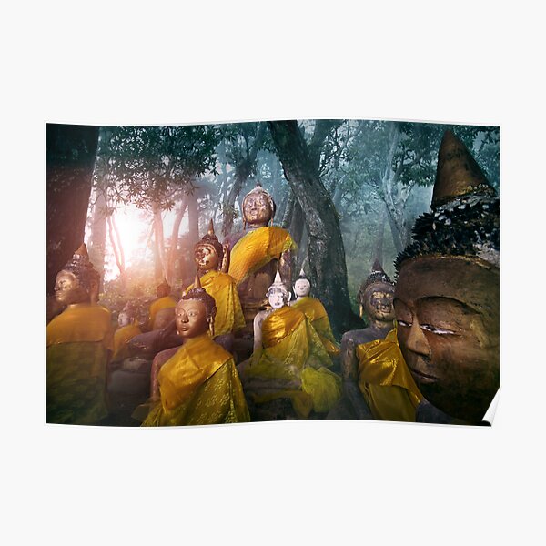 Valley of the Buddhas Poster