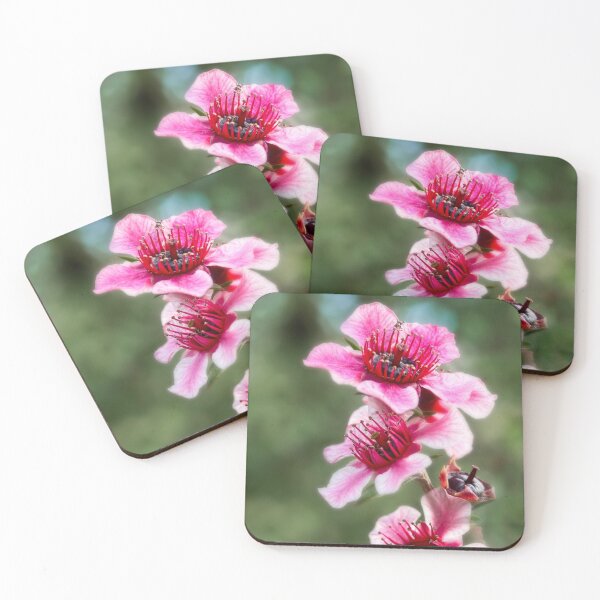 Item preview, New Zealand tea tree flowers designed and sold by Art in Nature.