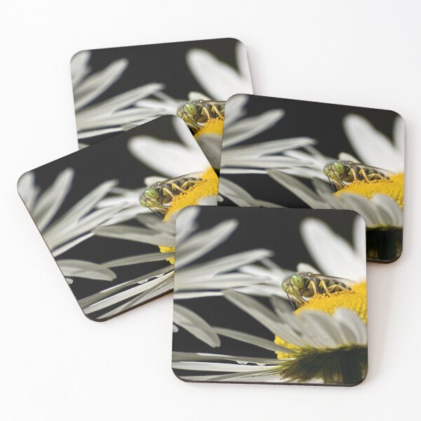 Item preview, What are you looking at? designed and sold by Art in Nature.