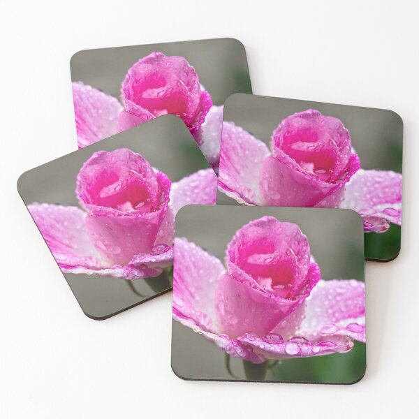 Item preview, Pink rose in the rain designed and sold by Art in Nature.
