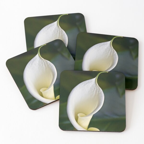 Item preview, Emerging calla lily designed and sold by Art in Nature.