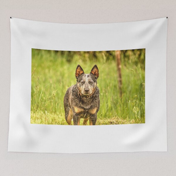 Item preview, ibs brown dog designed and sold by pcfyi.