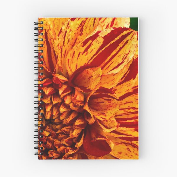 Item preview, Showy dahlia designed and sold by Art in Nature.