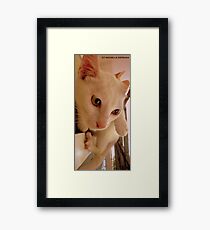 IMPECCABLE HEADSHOTS Framed Print