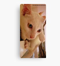 IMPECCABLE HEADSHOTS Canvas Print