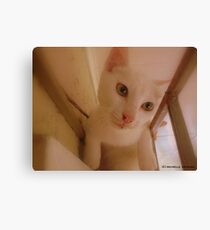 PERSEVERE Canvas Print