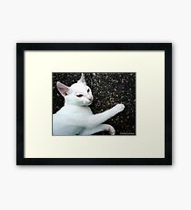 AFFECTION Framed Print