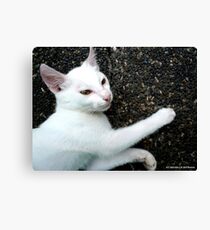 AFFECTION Canvas Print