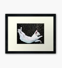 CONTORSIONIST Framed Print