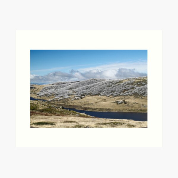 Item preview, Snow Gums, Falls Creek designed and sold by Jane McDougall.