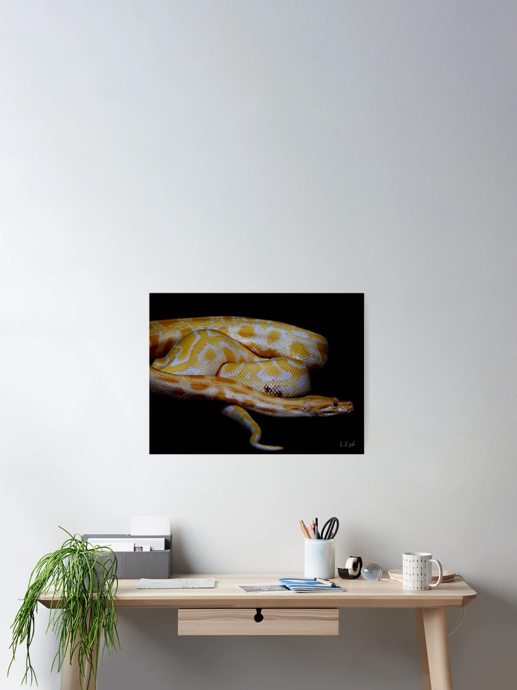 Thumbnail 2 of 3, Poster, Yellow Python designed and sold by oddoutlet.