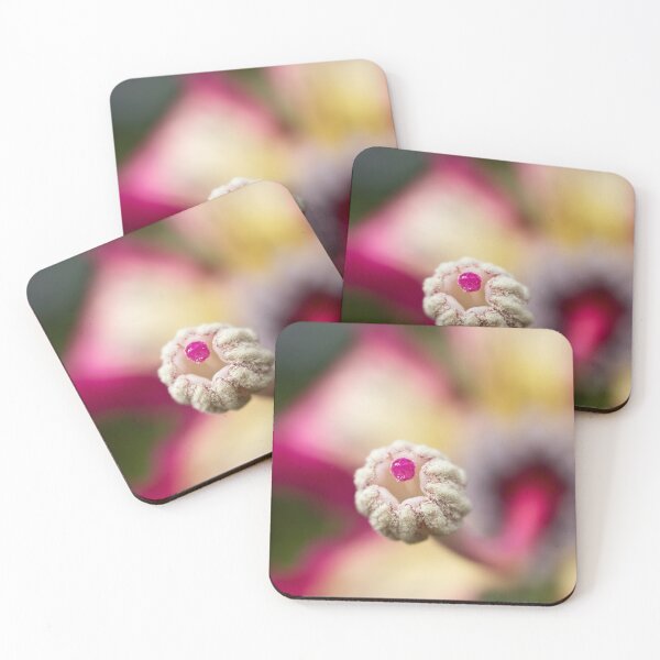 Item preview, Flower of floss silk tree designed and sold by Art in Nature.