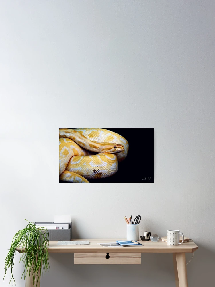 Thumbnail 2 of 3, Poster, Yellow Python 2 designed and sold by oddoutlet.