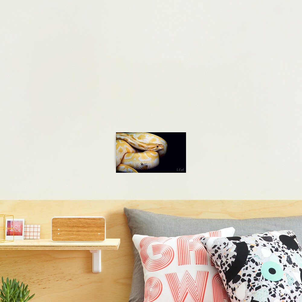 Item preview, Photographic Print designed and sold by oddoutlet.