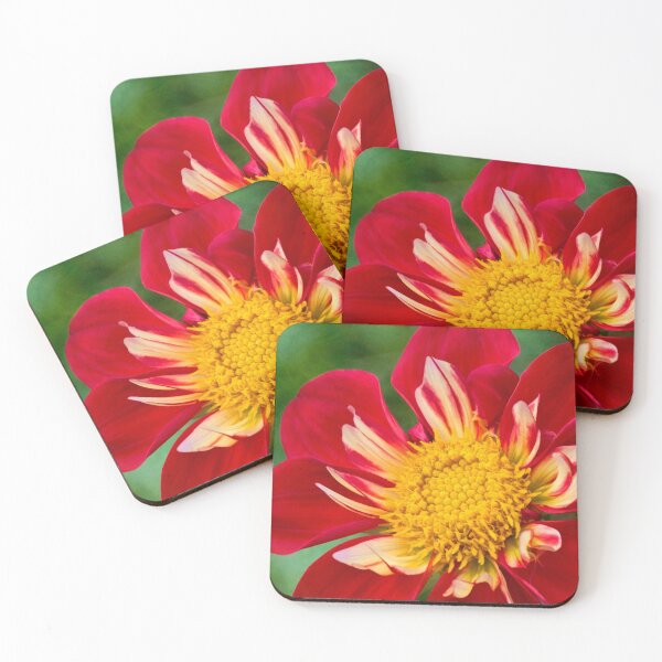 Item preview, Cheerful dahlia designed and sold by Art in Nature.