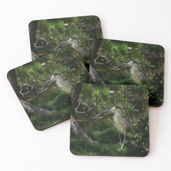 Item preview, Heron checking out new digs designed and sold by Art in Nature.