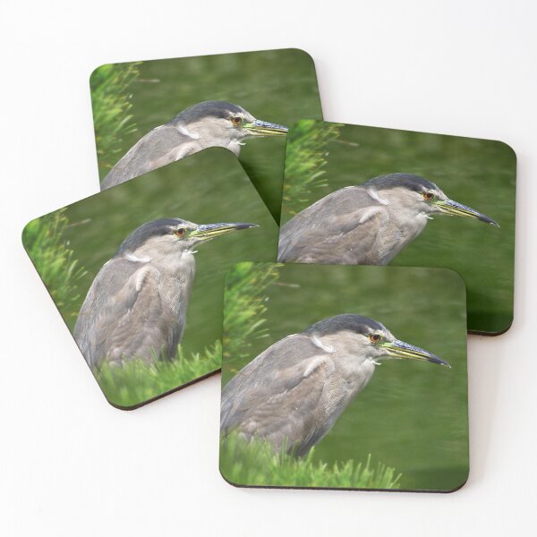 Aperçu de l'œuvre Heron à la recherche de poisson créée et vendue par Art in Nature.