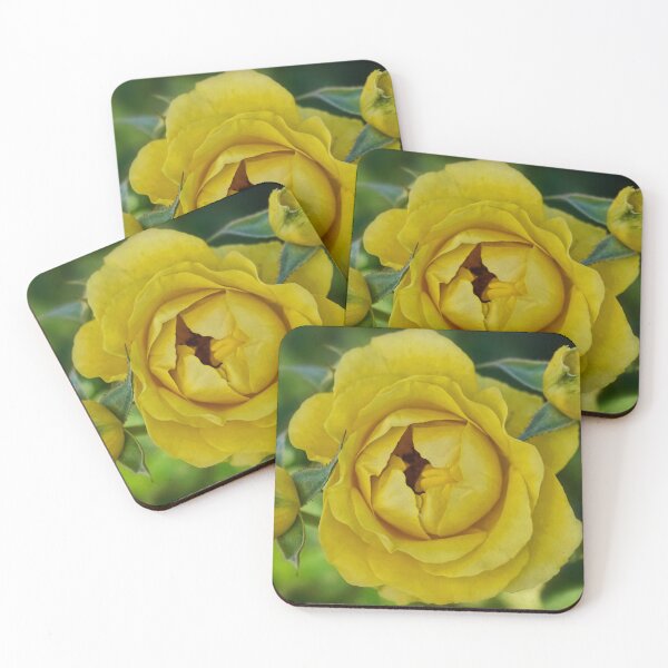 Item preview, Walking in Sunshine designed and sold by Art in Nature.
