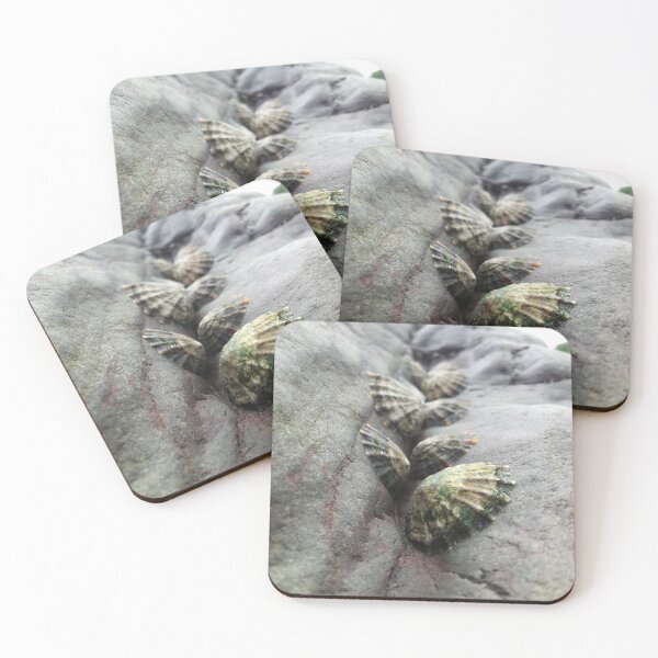 Item preview, Limpets Row designed and sold by SnookerLoopyOwl.