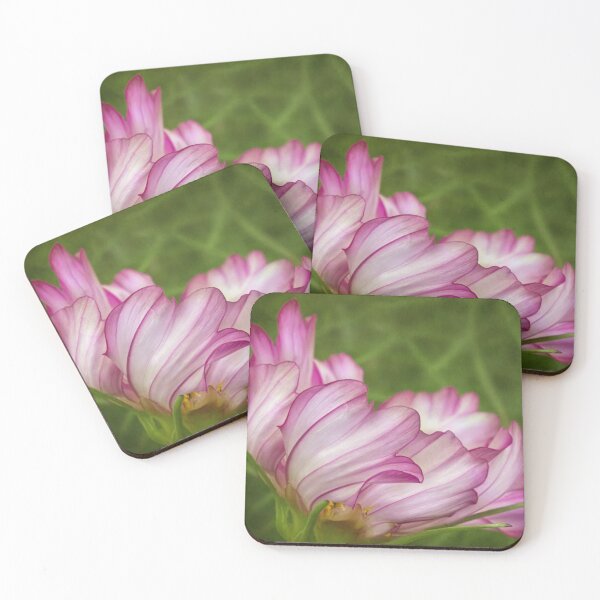 Item preview, Dancing cosmos petals designed and sold by Art in Nature.