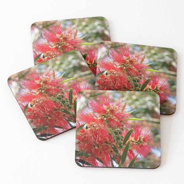Item preview, Bottlebrush Flower designed and sold by Linda Walsh.