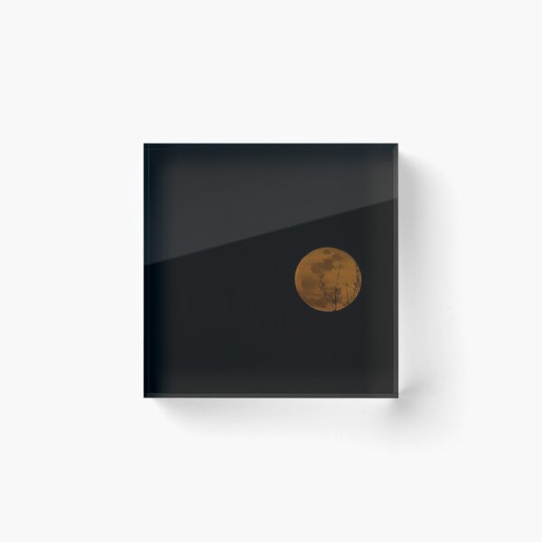 Item preview, Full Moon designed and sold by Olivia Allison.