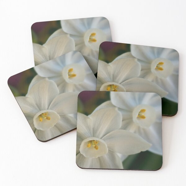 Item preview, Paperwhite sisters designed and sold by Art in Nature.