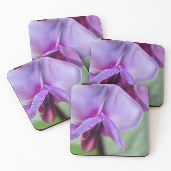 Item preview, Hyacinth bean bossom designed and sold by Art in Nature.