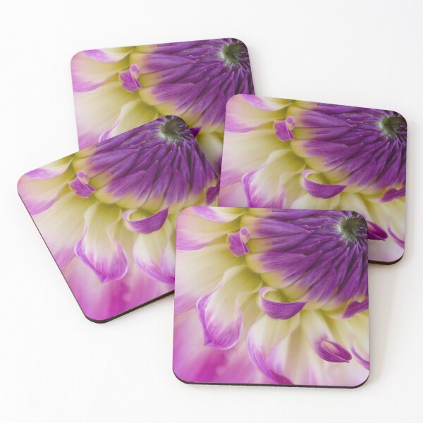 Item preview, New dahlia designed and sold by Art in Nature.