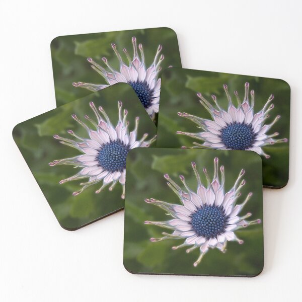 Item preview, Spoon-petaled daisy designed and sold by Art in Nature.