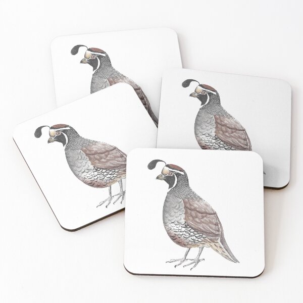 Item preview, California Quail designed and sold by elenakballam.